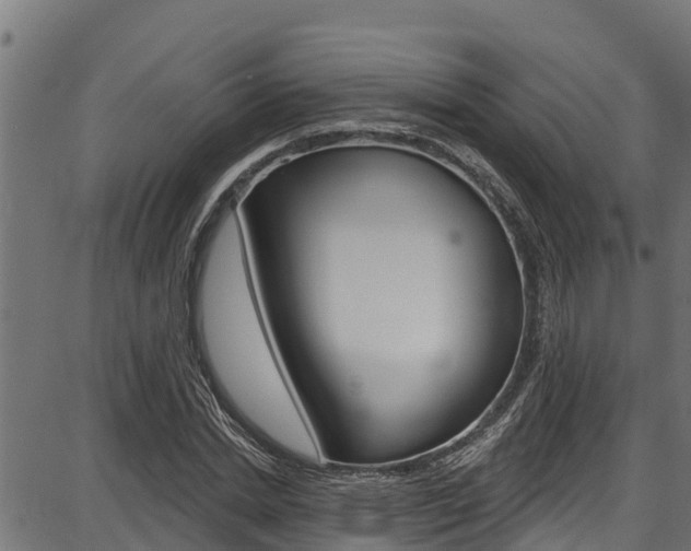 X0000086750830200704130756