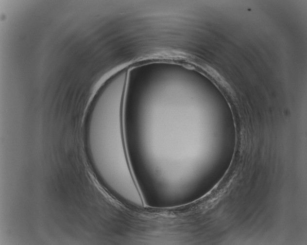 X0000086750838200704130756