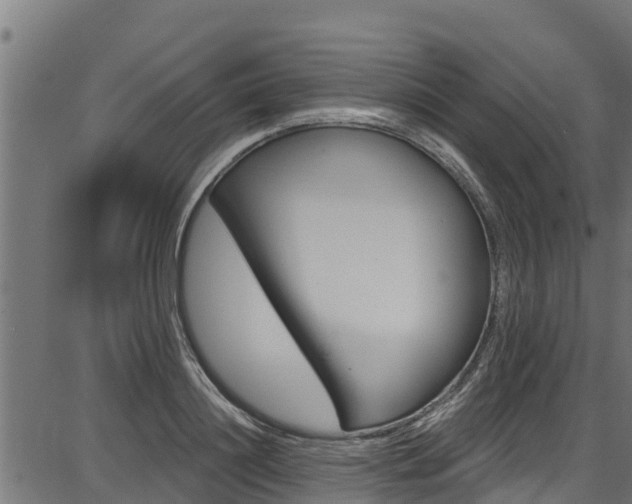 X0000086750844200704130756