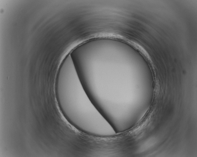 X0000086750847200704130756