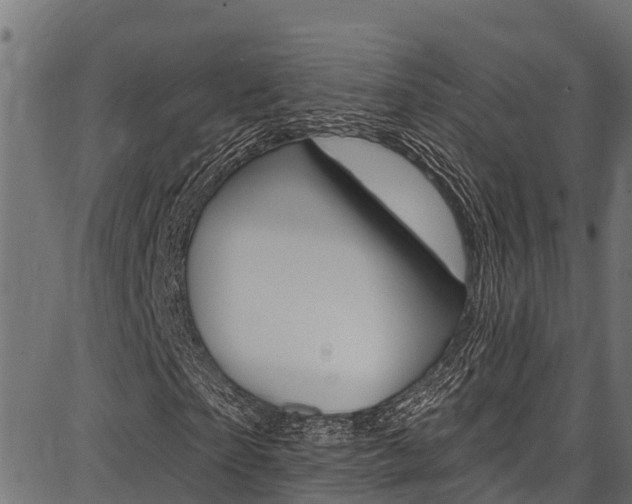 X0000086750865200704130756