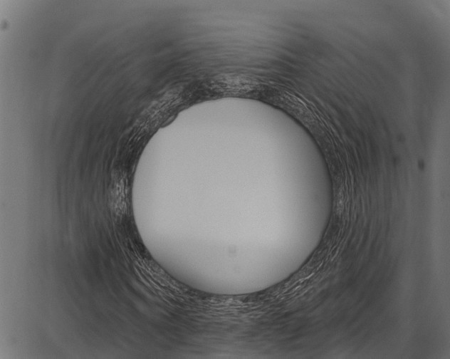 X0000086750866200704130756