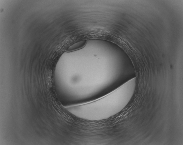 X0000086750867200704130756