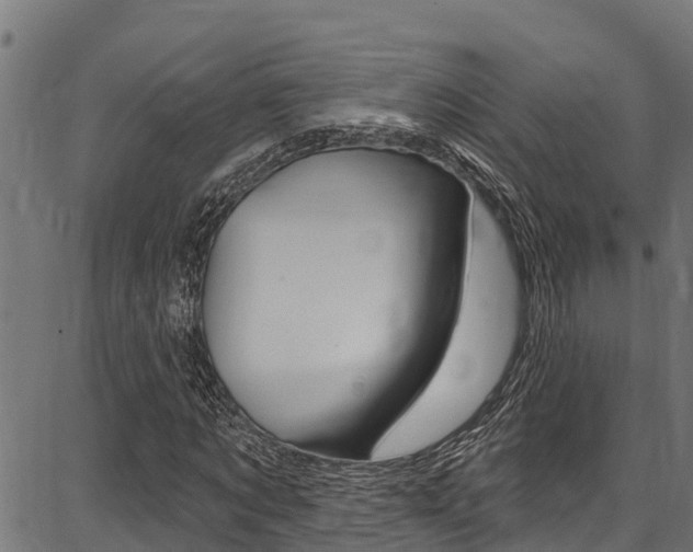 X0000086750869200704130756