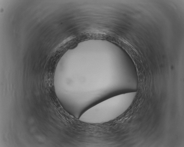 X0000086750870200704130756