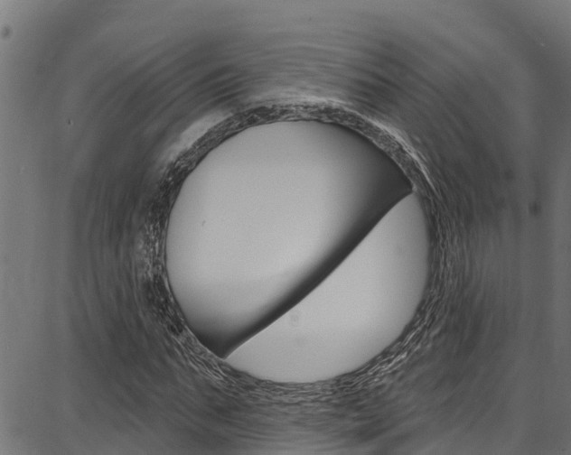 X0000086750871200704130756