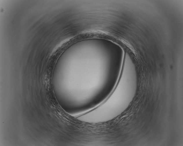 X0000086750872200704130756