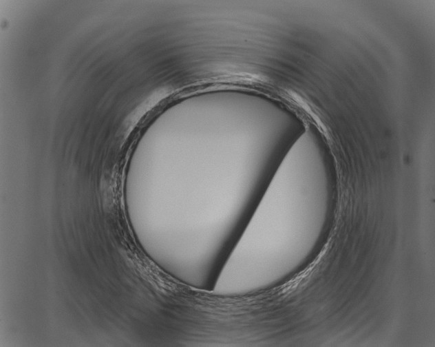 X0000086750875200704130755