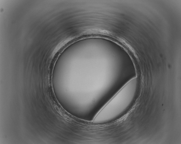 X0000086750877200704130755