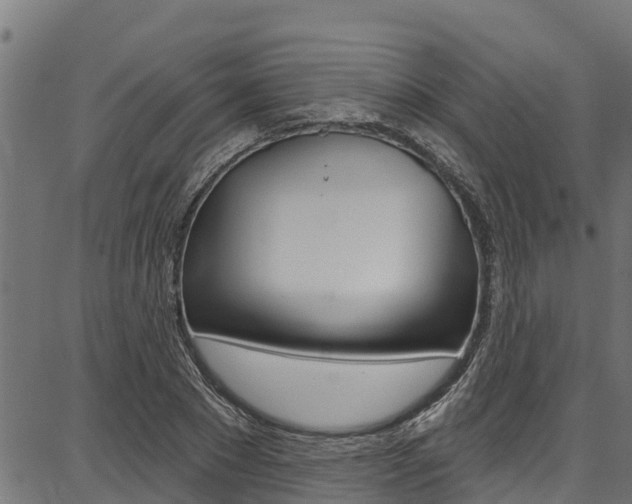 X0000086750881200704130755