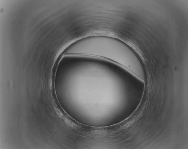X0000086750888200704130755