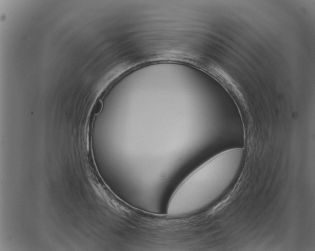 X0000086750892200704130755
