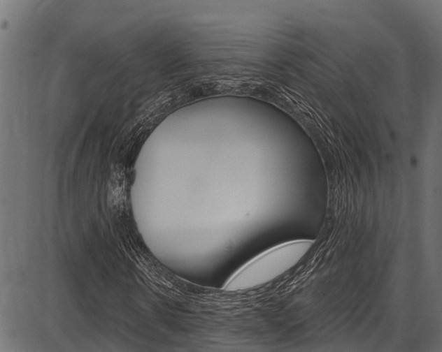 X0000086750914200704130754