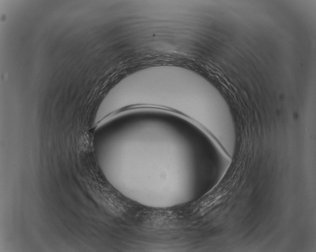 X0000086750916200704130754