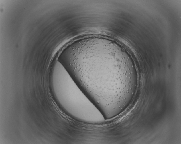 X0000086750925200704130754