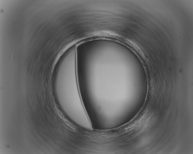 X0000086750931200704130754