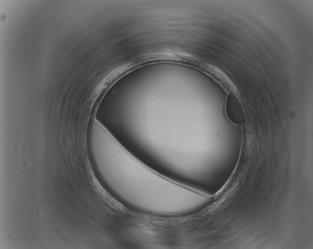 X0000086750938200704130754