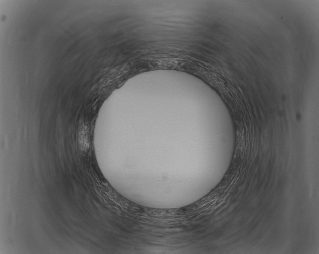 X0000086750962200704130754
