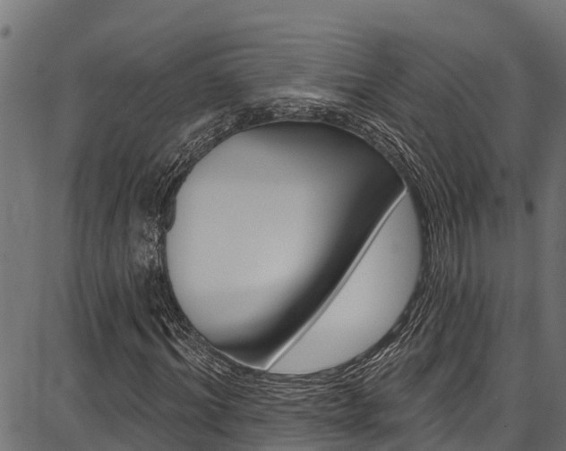 X0000086750964200704130754