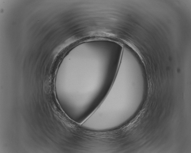 X0000086750971200704130754