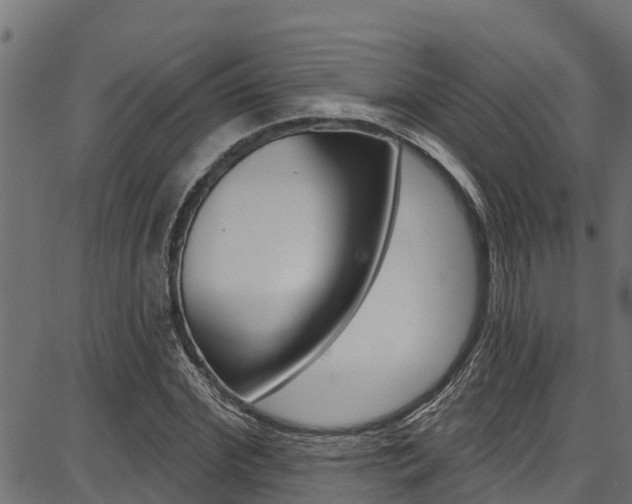 X0000086750972200704130754