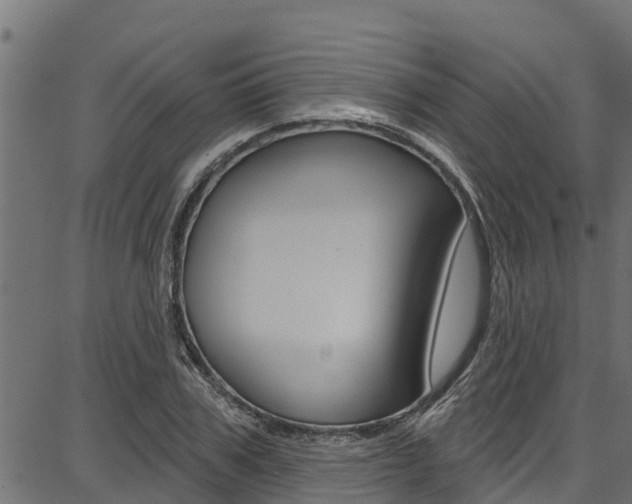 X0000086750979200704130754