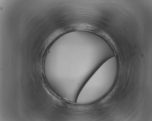 X0000086750986200704130754