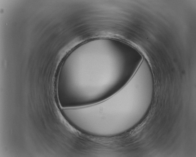 X0000086750995200704130753