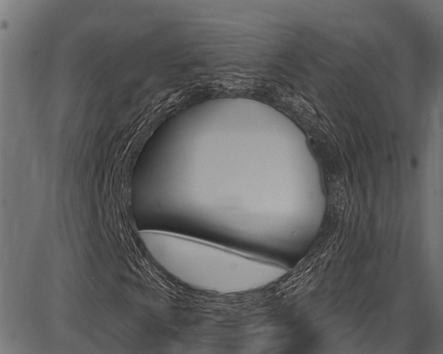 X0000086751009200704130752