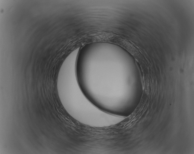 X0000086751010200704130752