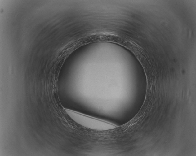 X0000086751014200704130753