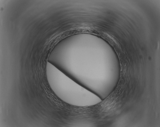 X0000086751015200704130753