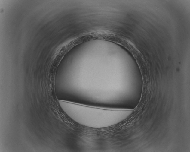 X0000086751016200704130753