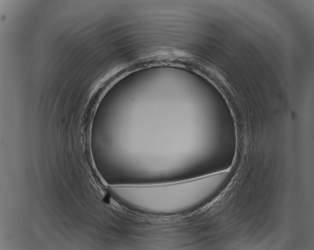 X0000086751018200704130753