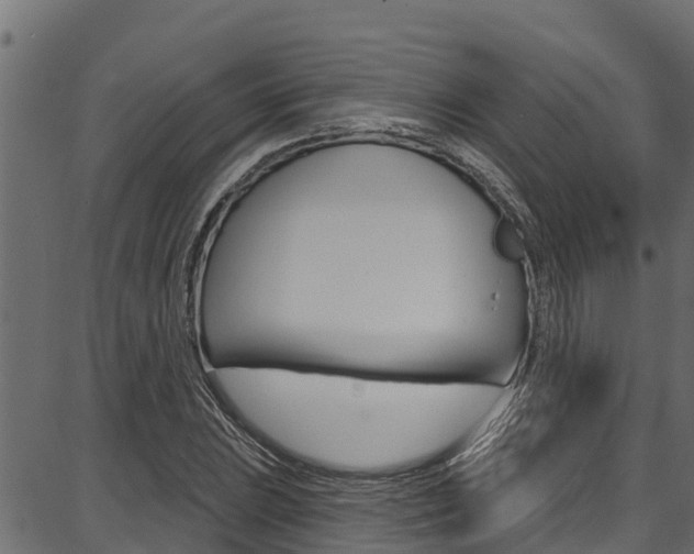 X0000086751023200704130753