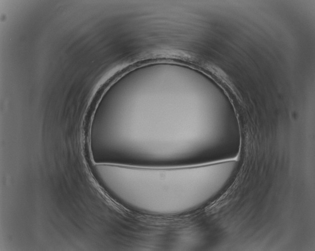 X0000086751024200704130753