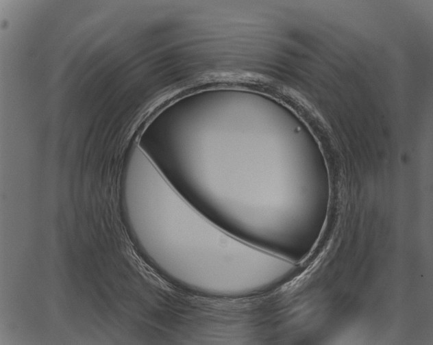 X0000086751025200704130753