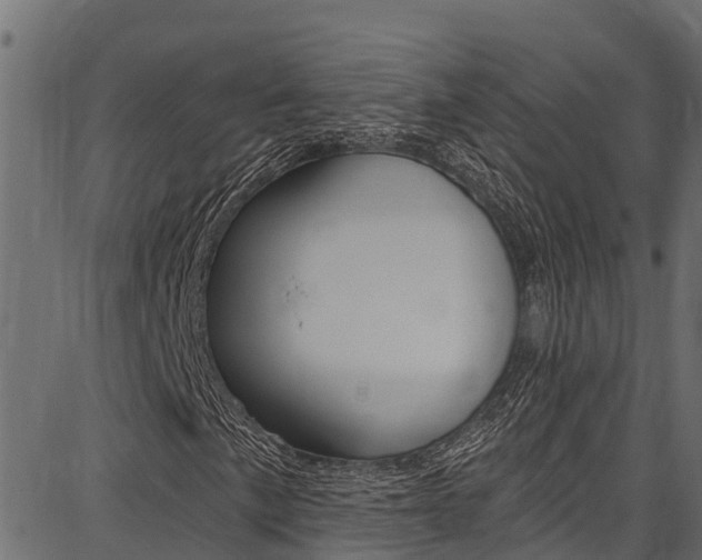 X0000086751057200704130752