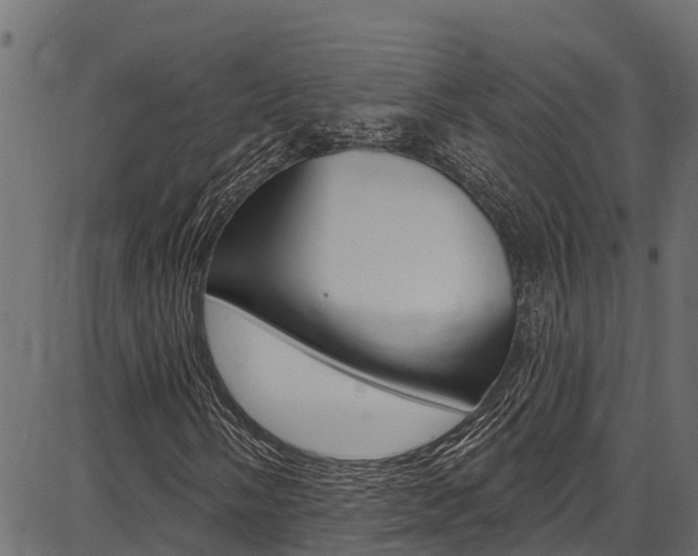 X0000086751058200704130752