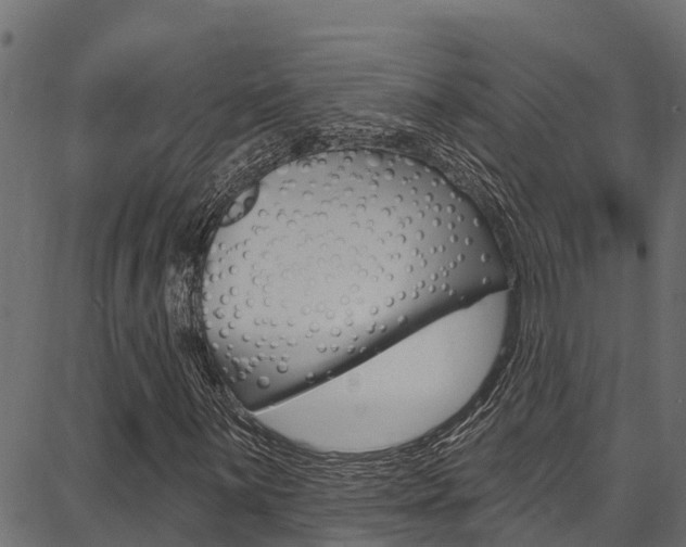 X0000086751059200704130752
