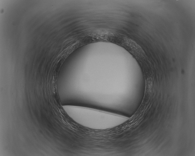 X0000086751060200704130752