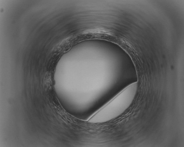 X0000086751062200704130752