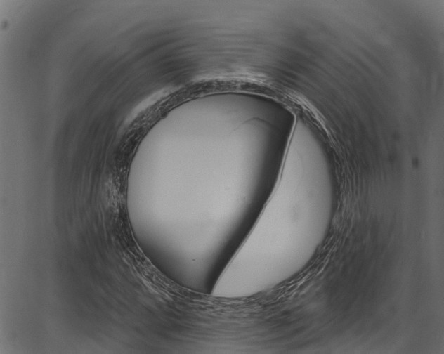 X0000086751064200704130752