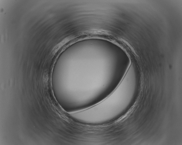 X0000086751065200704130752