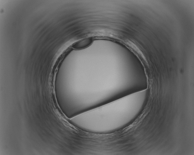 X0000086751068200704130752