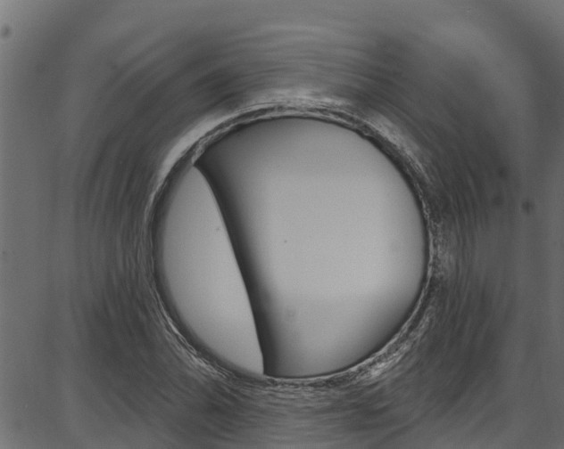 X0000086751070200704130752