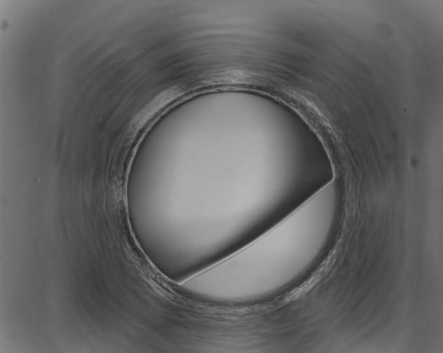 X0000086751073200704130752