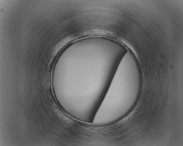 X0000086751075200704130752