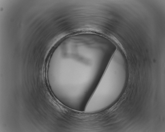 X0000086751076200704130752