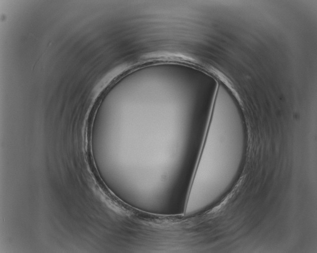X0000086751082200704130752